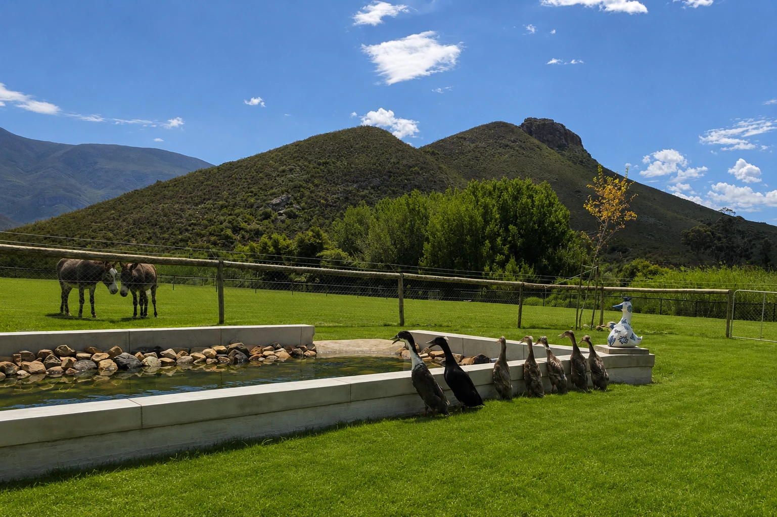 Runner ducks beside the pond at Klawerjas with an Elzeth Jacobs ceramic sculpture overlooking the farm landscape